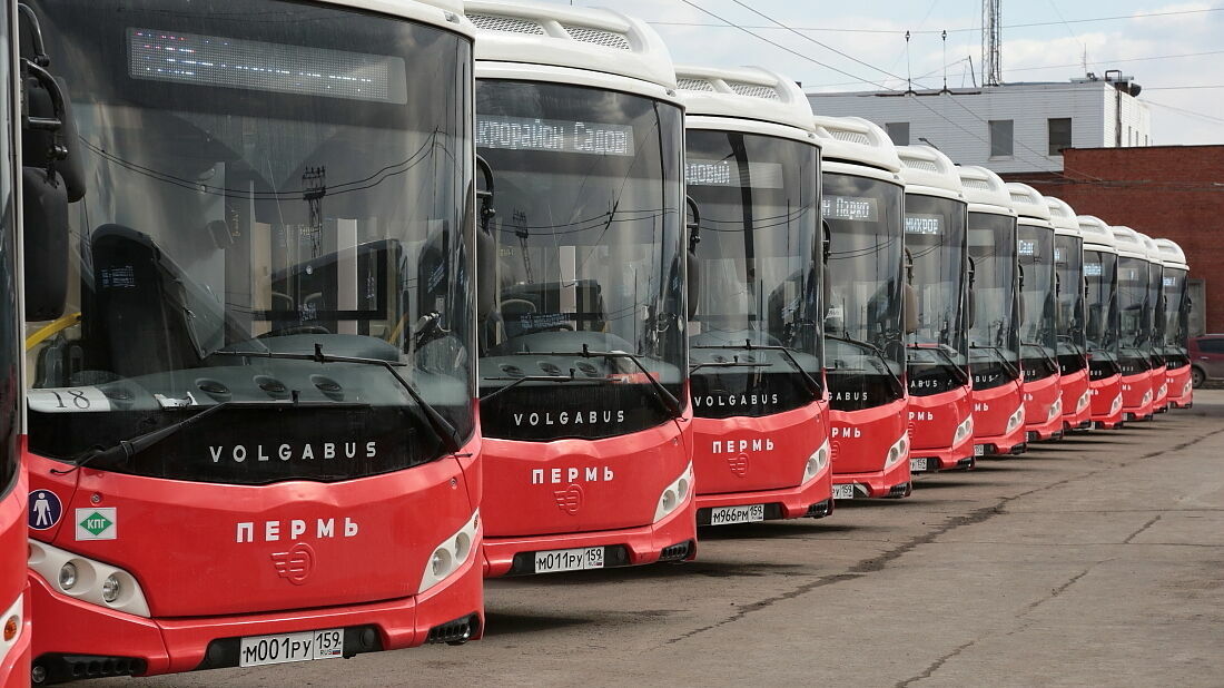 На маршрут №51 в Перми выйдет новый перевозчик