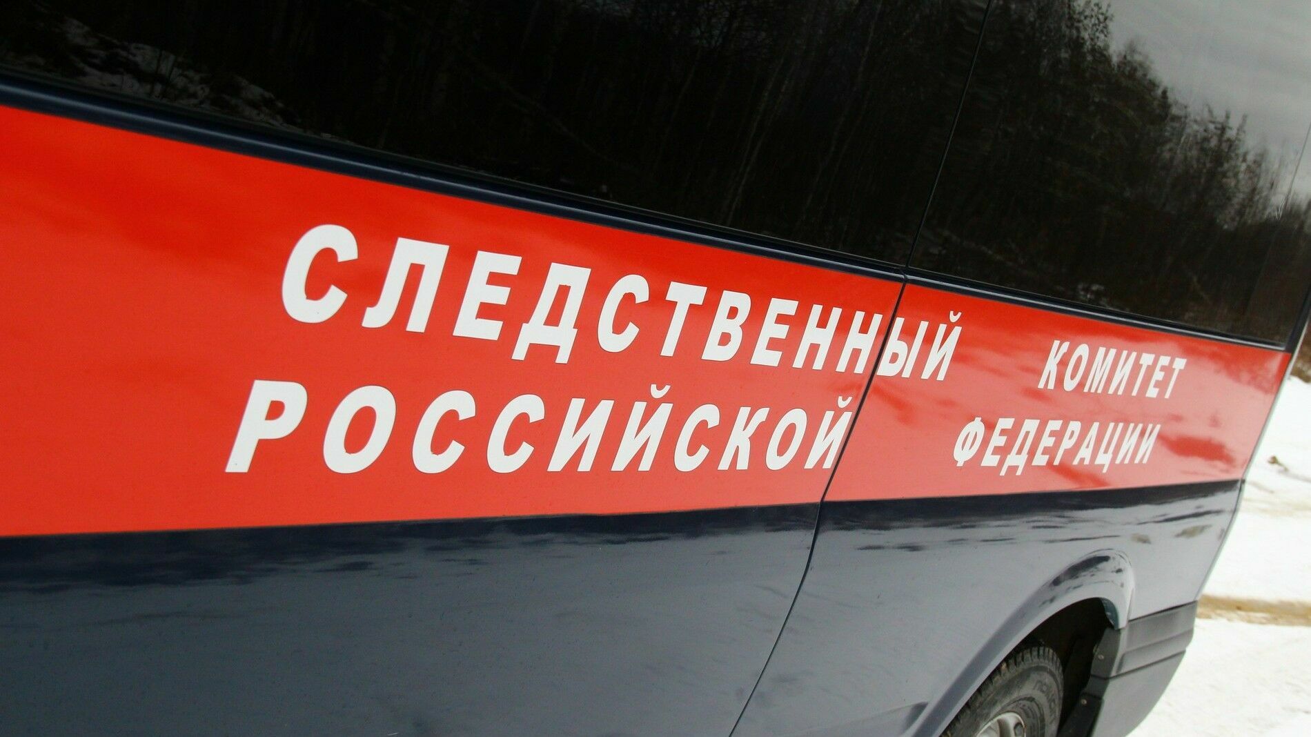В Александровском районе арестовали мужчину истязавшего своего малолетнего пасынка