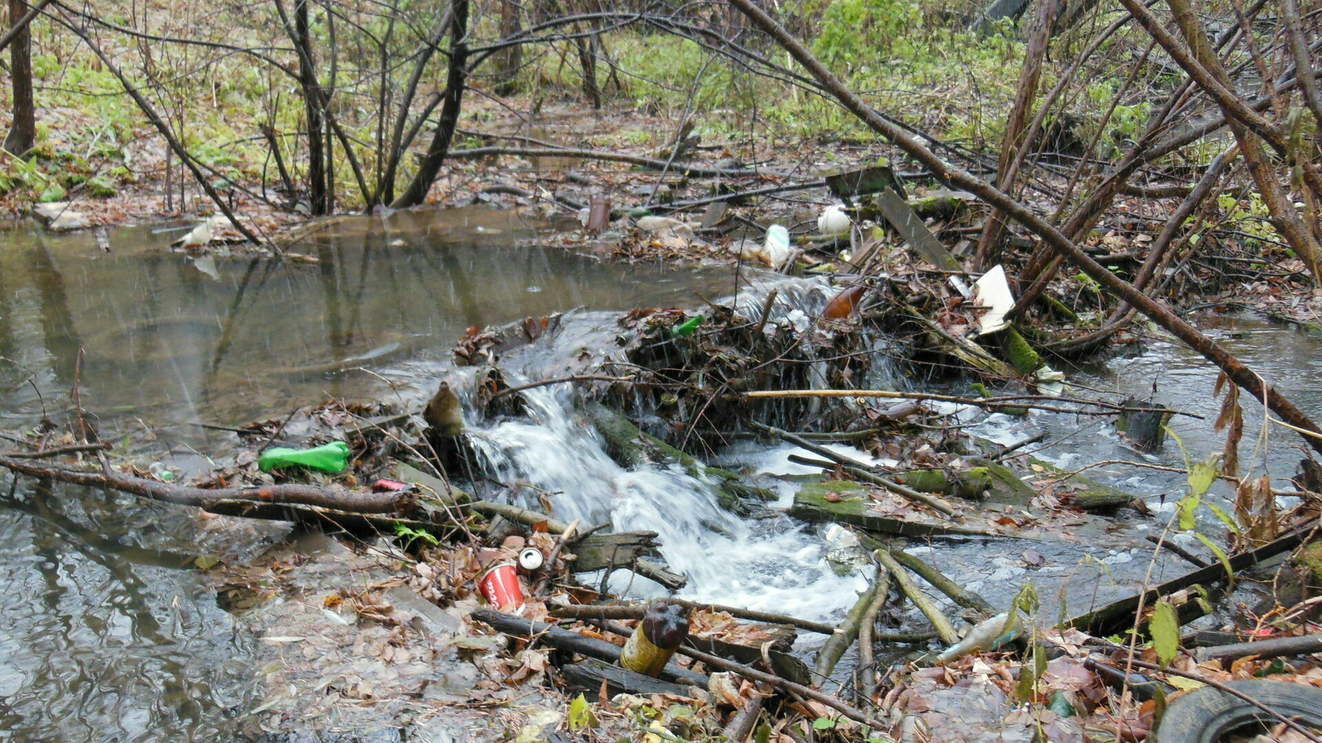 В Перми планируют очистить более 4 километров реки Данилихи