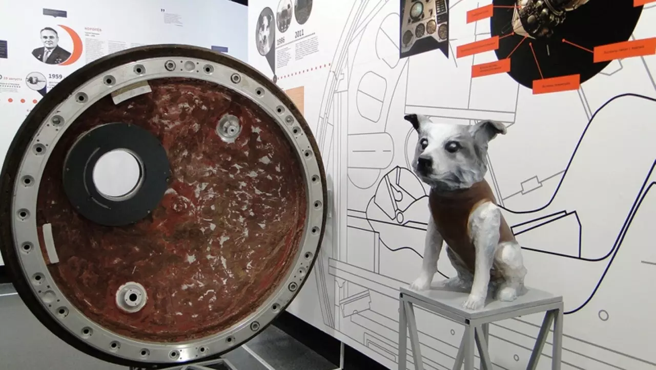 Одна из первых собак-космонавтов 55 лет назад приземлилась в Чайковском районе