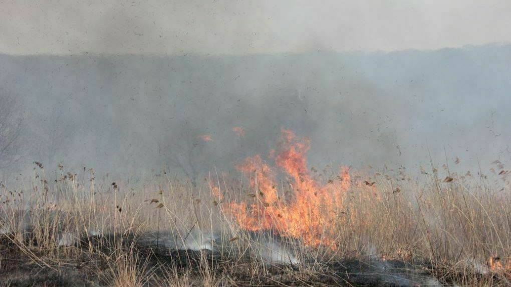 В Пермском крае начался пожароопасный сезон