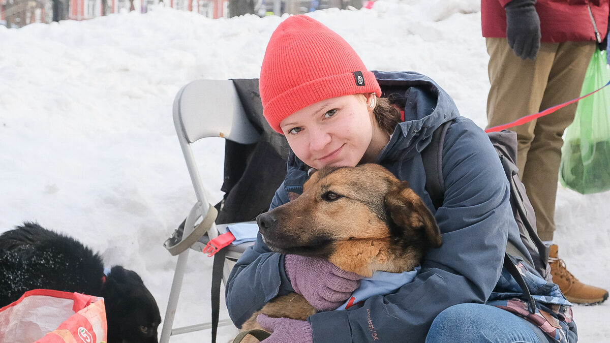 В Перми прошла благотворительная акция «Собака-обнимака». Фоторепортаж