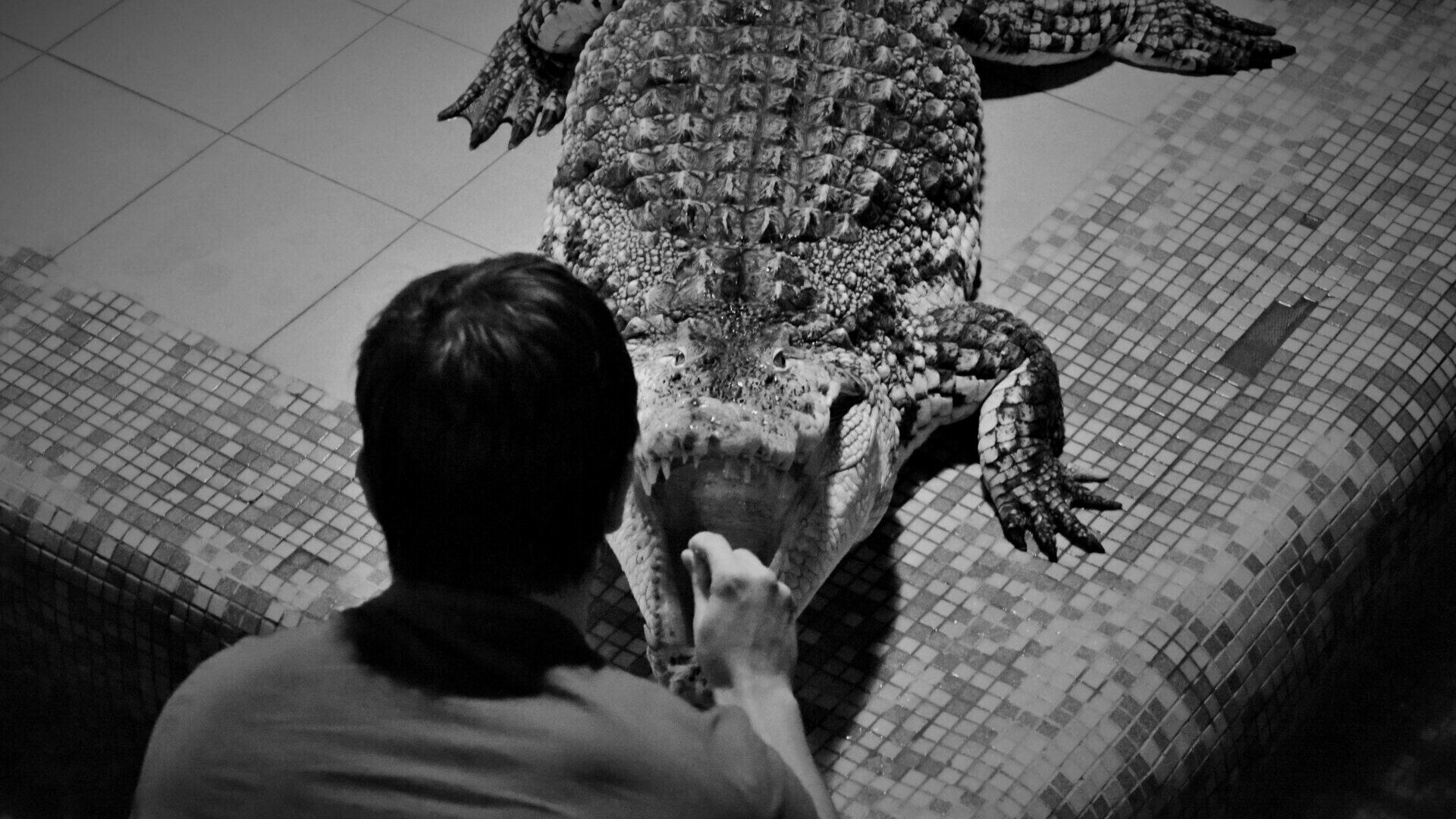 Укротитель крокодилов из Перми: «Родные считали, что моя профессия — это затяжная попытка суицида»