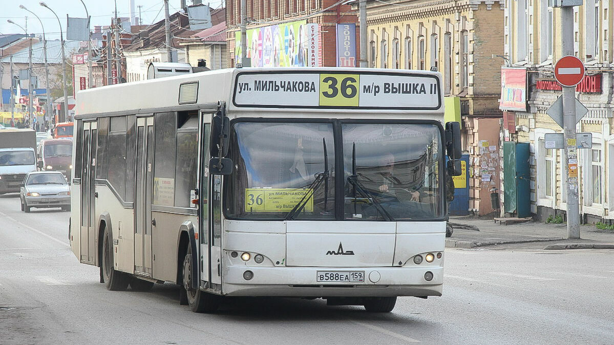 К учебному году в Перми изменится расписание общественного транспорта
