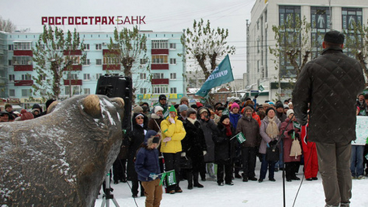 В Перми прошел митинг-обращение к Рослесхозу в защиту Черняевского леса