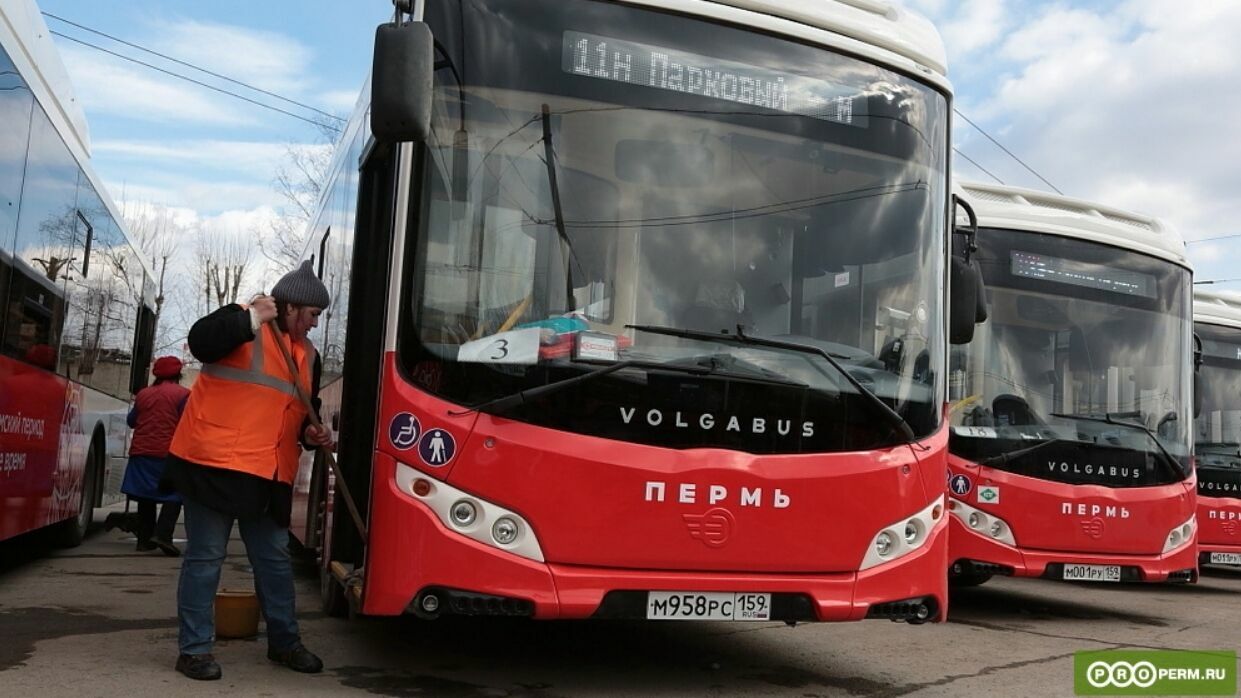 В Перми появились два новых автобусных маршрута №8 и №13. Куда они доставят пермяков?