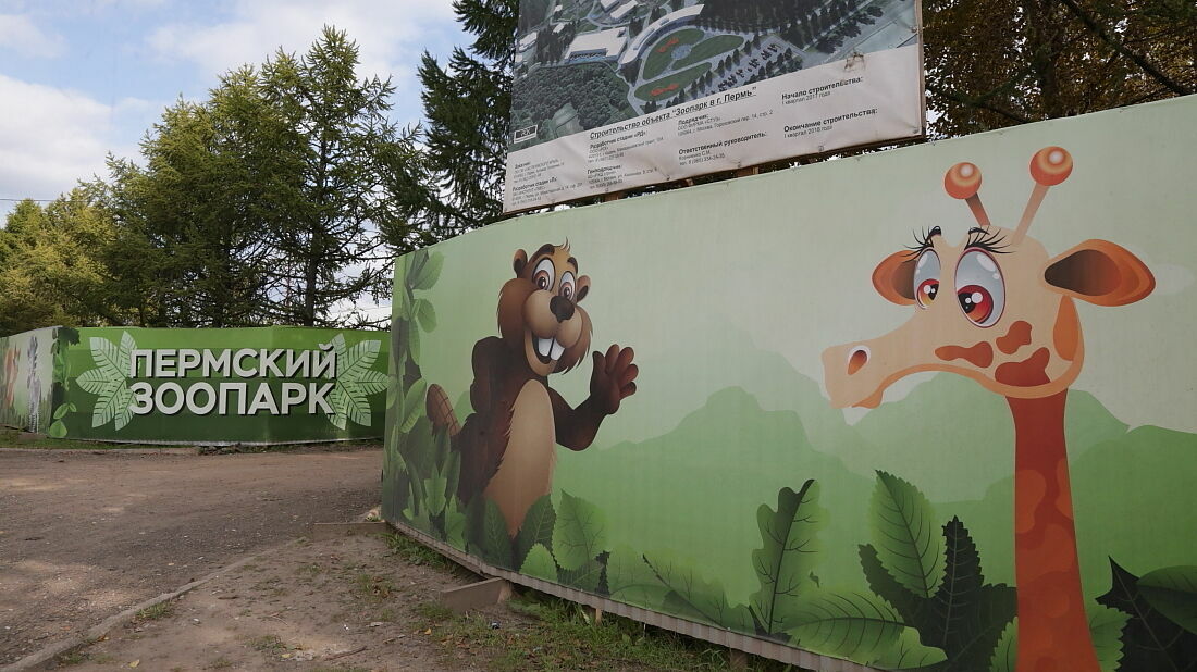 При проектировании нового зоопарка Перми похитили 130 миллионов рублей