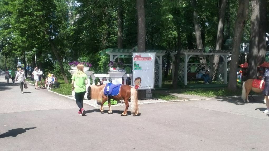 Двухлетнего малыша с прогулки в пермском парке Горького увезла скорая