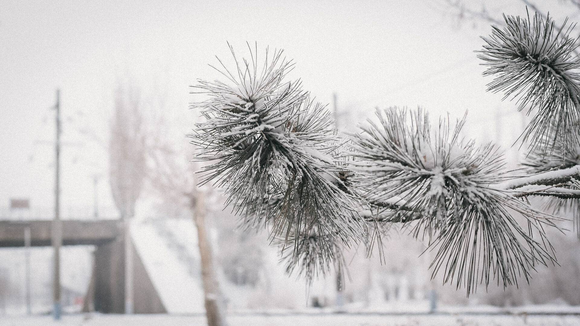 К концу недели в Пермском крае ожидается потепление и снегопады