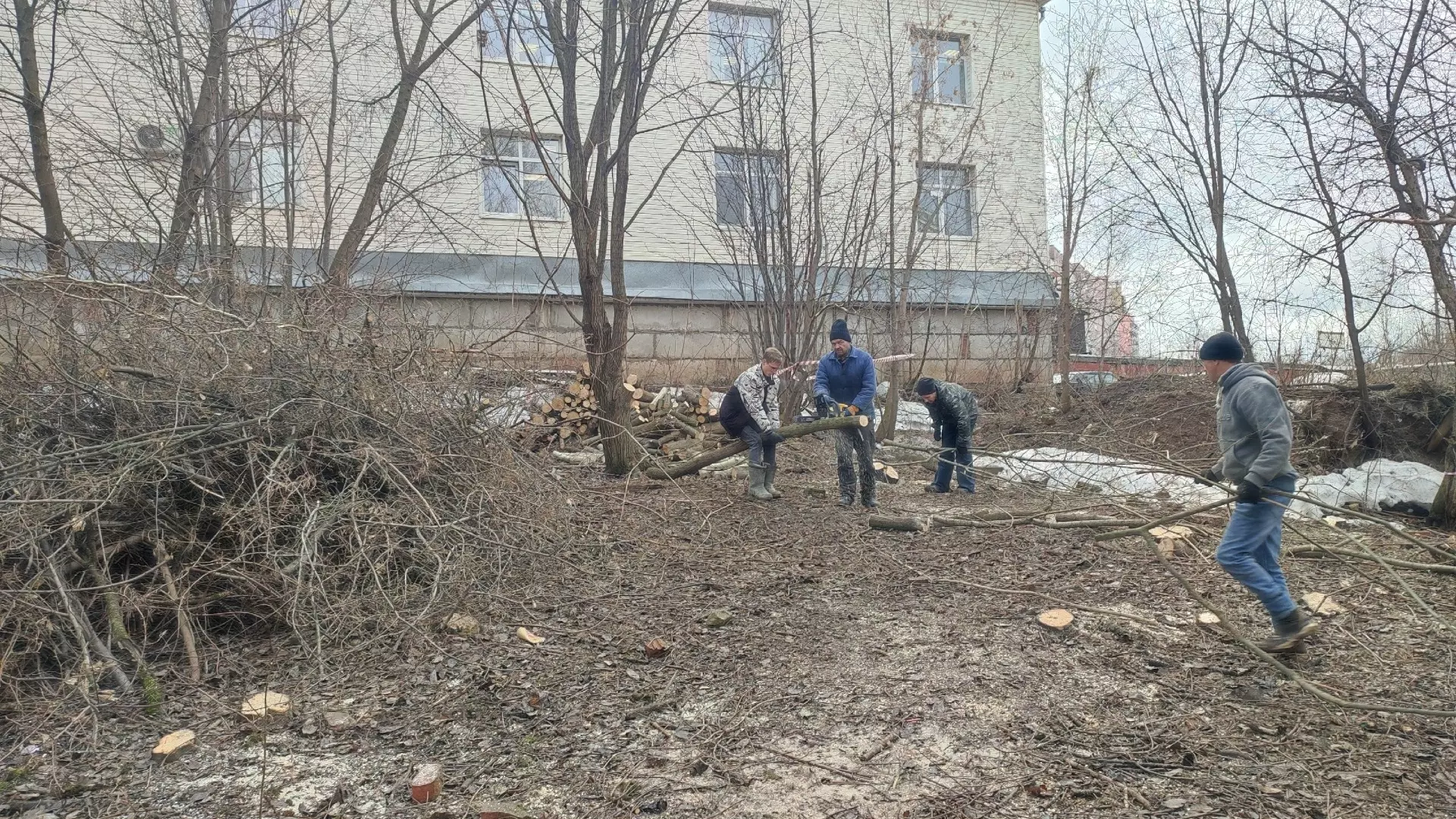 Администрация Перми ответила Properm. ru, сколько деревьев срубили в Саду соловьев