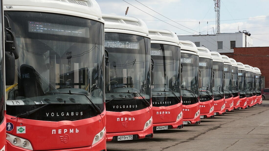 В Пермь привезли последнюю партию новых автобусов Volgаbus