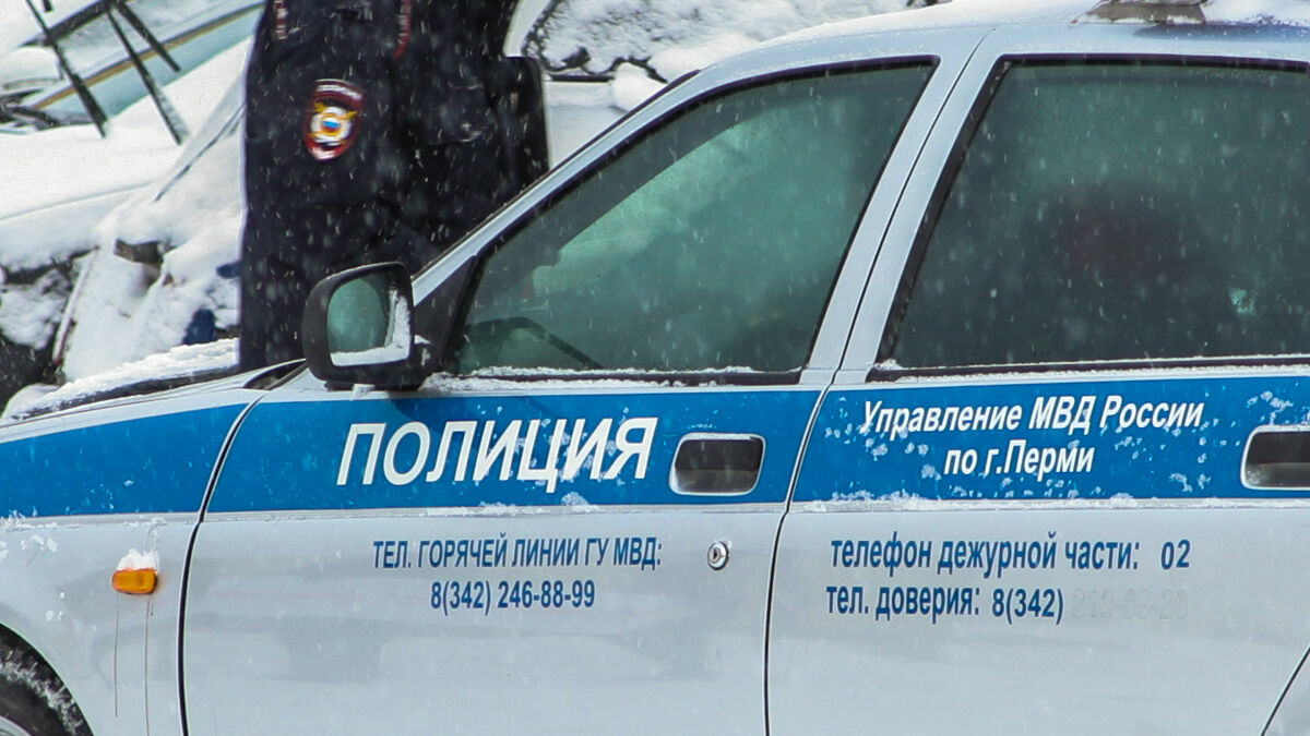 В Прикамье сын напал на престарелую мать и отобрал у нее 110 рублей