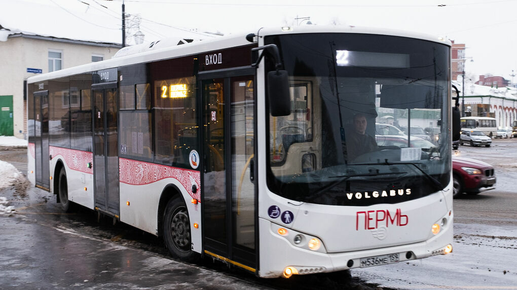 Автобусы №2 и №3 изменят свой маршрут с 17 ноября