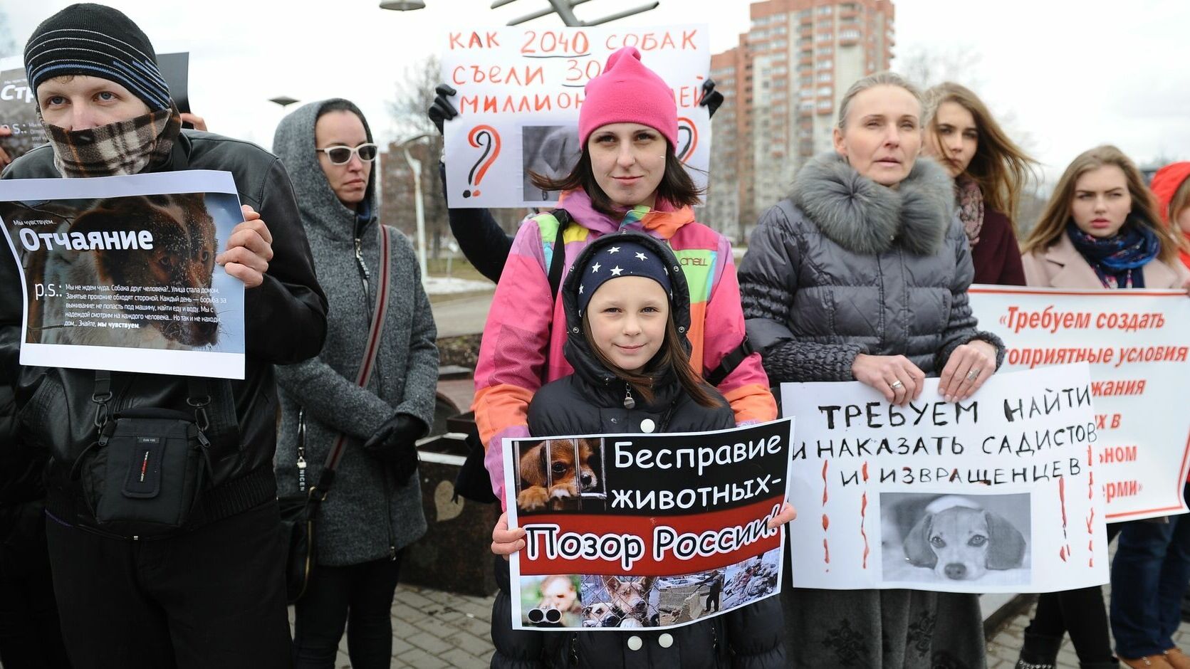Пермские зоозащитники вышли на митинг против издевательства над собаками в приюте