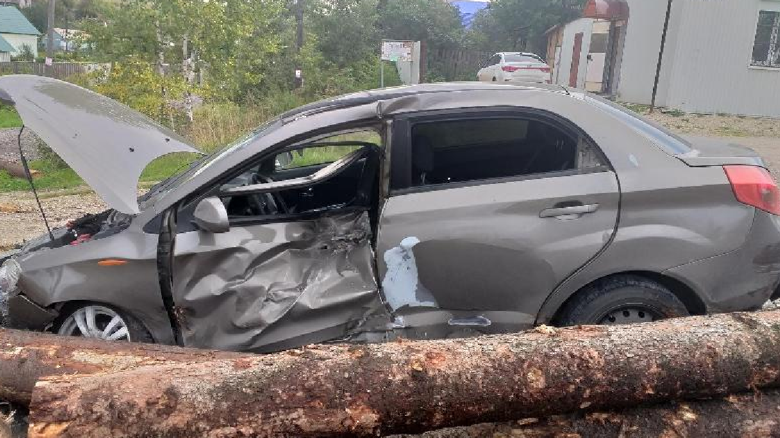 В Прикамье после заноса груз лесовоза упал на иномарку: погиб мужчина