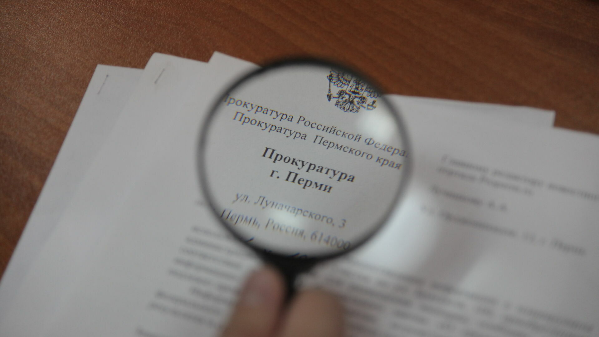 В Перми закрыли сайты, продающие сертификаты с результатами ЕГЭ