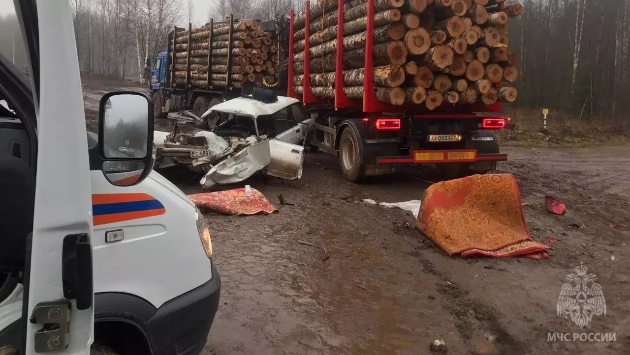На трассе «Пермь — Березники» столкнулись легковушка и лесовоз. Погибли двое