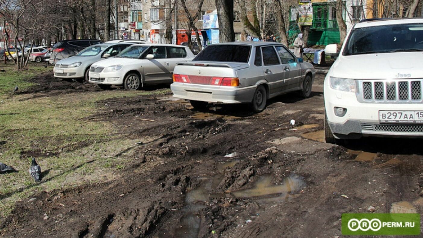 С начала года в Перми составили 180 протоколов на «гряземесов»