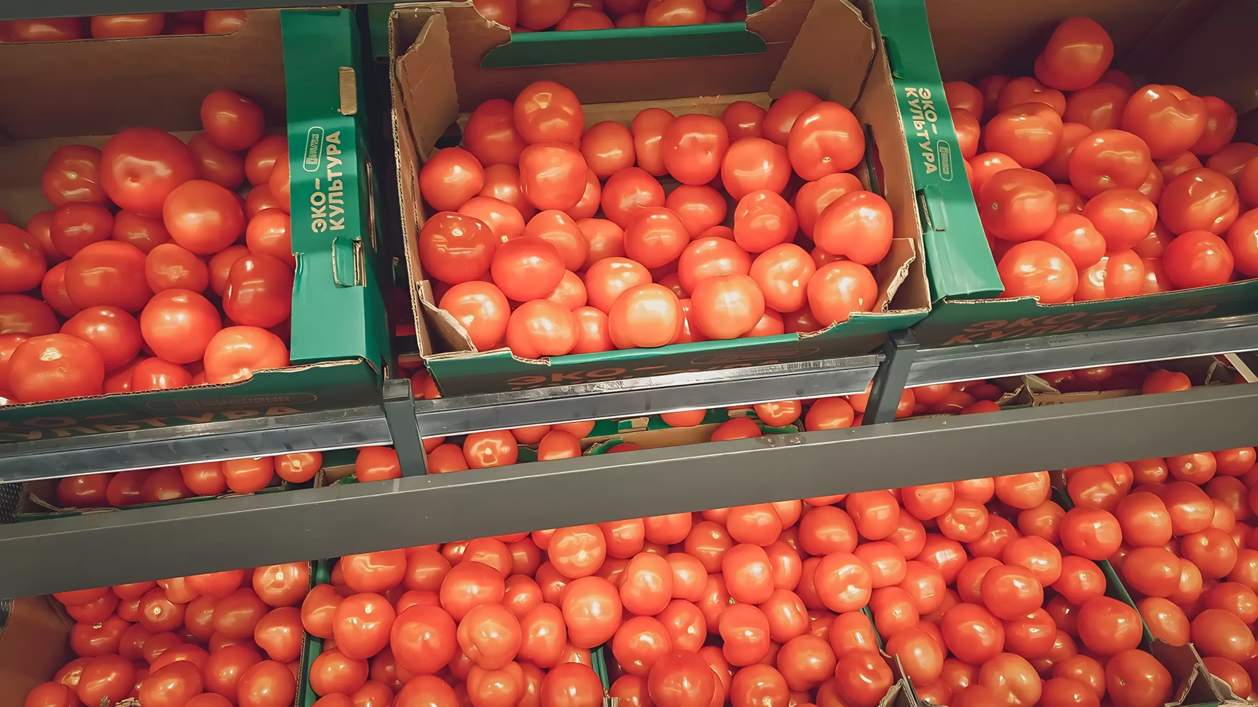 В течение 2024 года в Прикамье завезли 441 тонну свежих помидоров из Казахстана