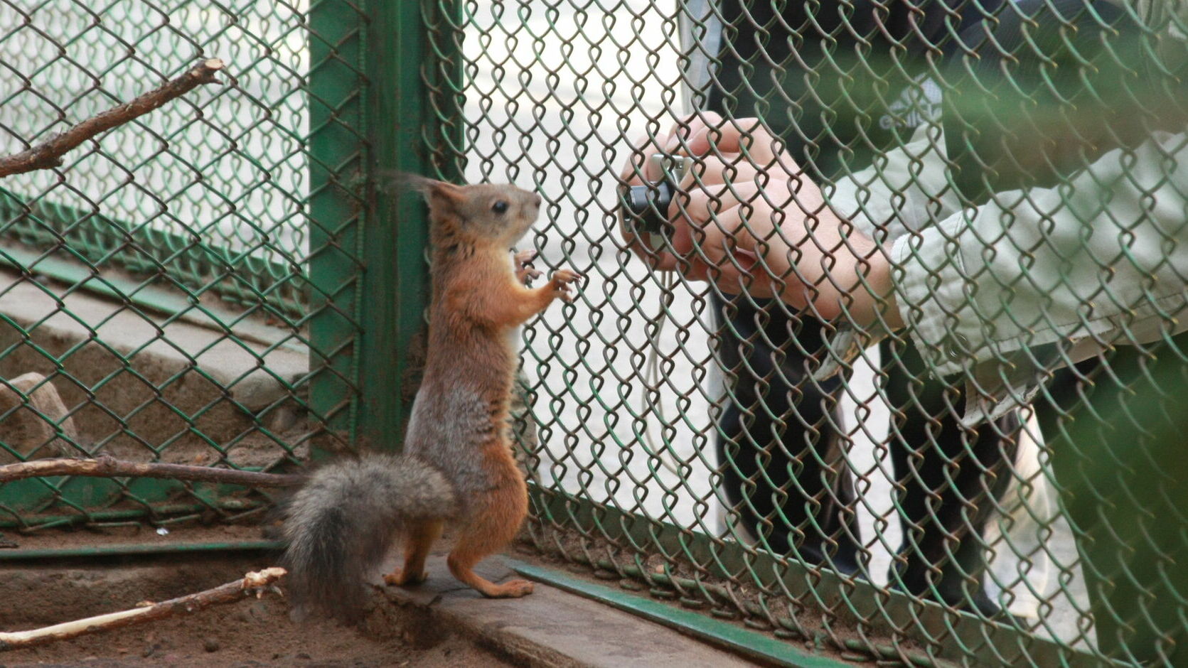 Пермский зоопарк вошел в десятку популярных зоопарков России