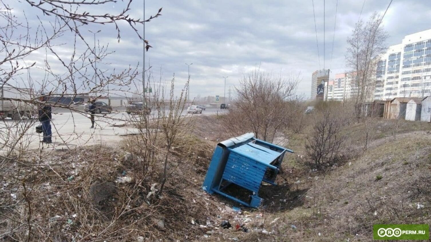 МЧС предупреждает о сильном ветре и ночных заморозках в Пермском крае