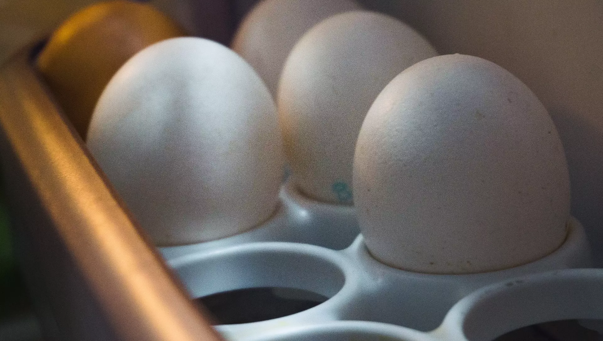 В правительстве Кузбасса заявили о рекордном производстве яиц в 2023 году