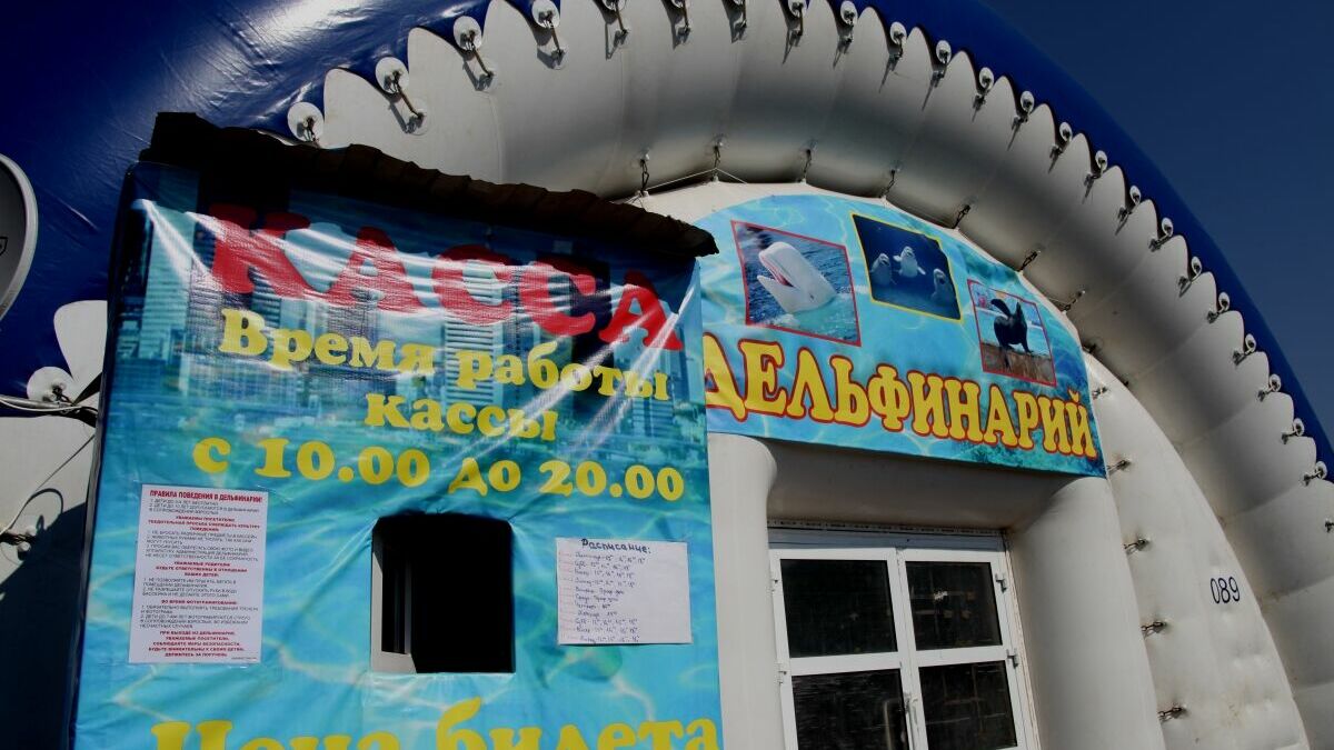 Прокуратура проверит дельфинарий в Перми 5 мая