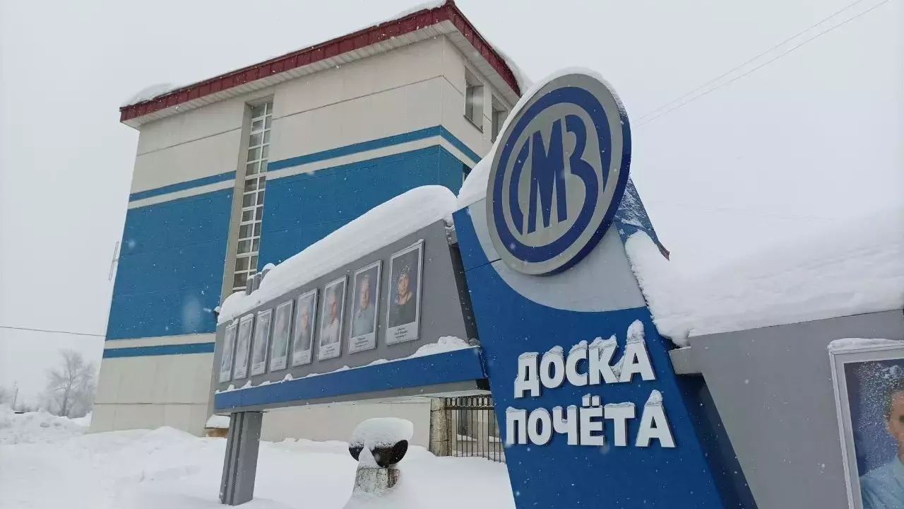 Акции «Соликамского магниевого завода» отберут у 2,3 тысяч миноритарных собственников