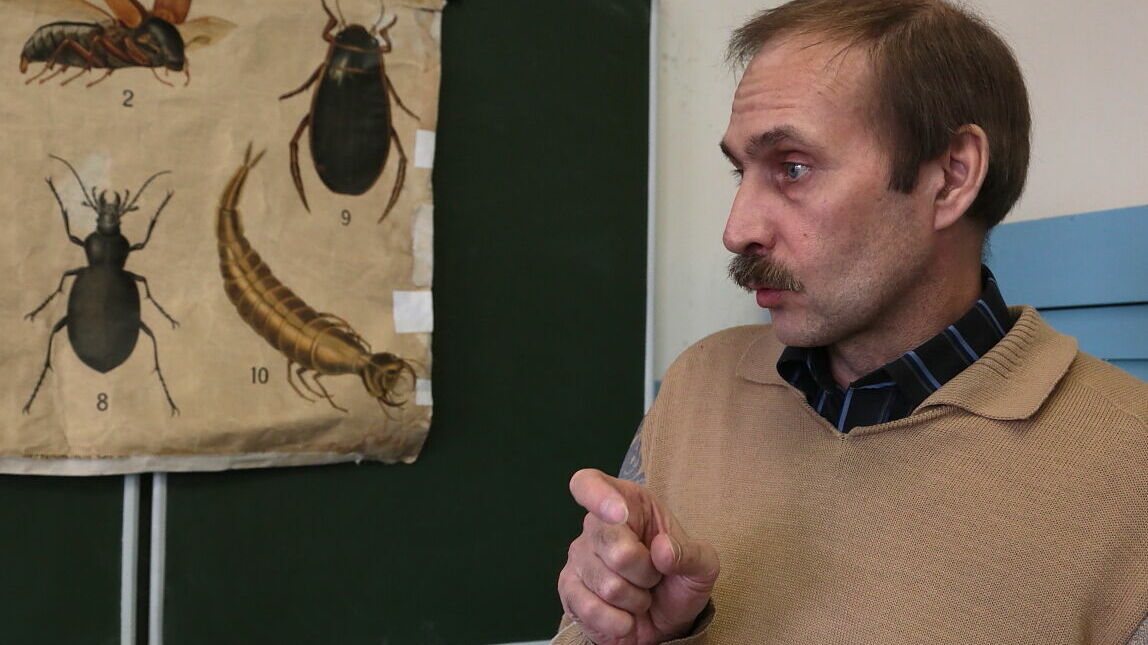 Мир насекомых: Почему тараканы скоро вернутся в пермские квартиры