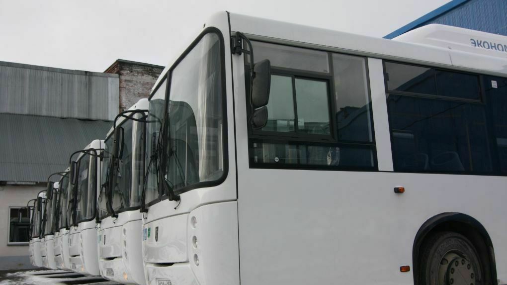 Пермский перевозчик выиграл два конкурса на обслуживание шести автобусных маршрутов