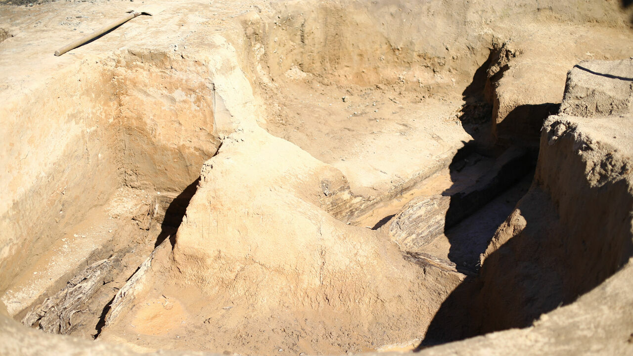 Ученые в Прикамье откопали бивень трогонтериевого слона