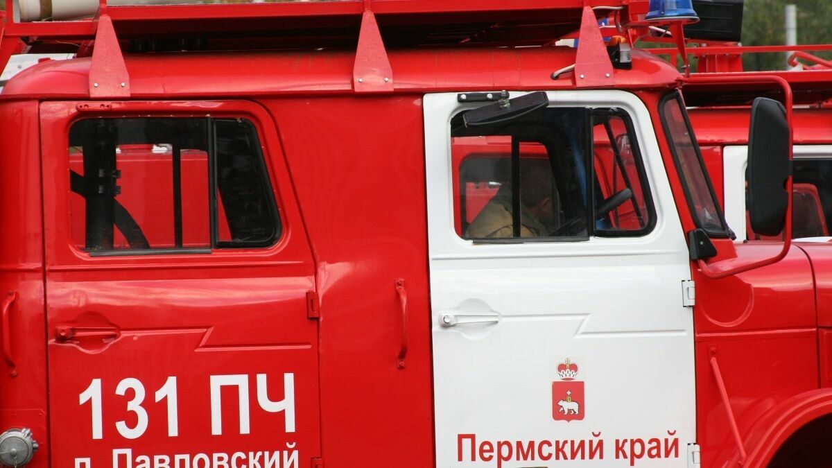 Из 97 миллионов рублей, выделенных на охрану лесов, на пожаротушение потратят лишь 8,3%