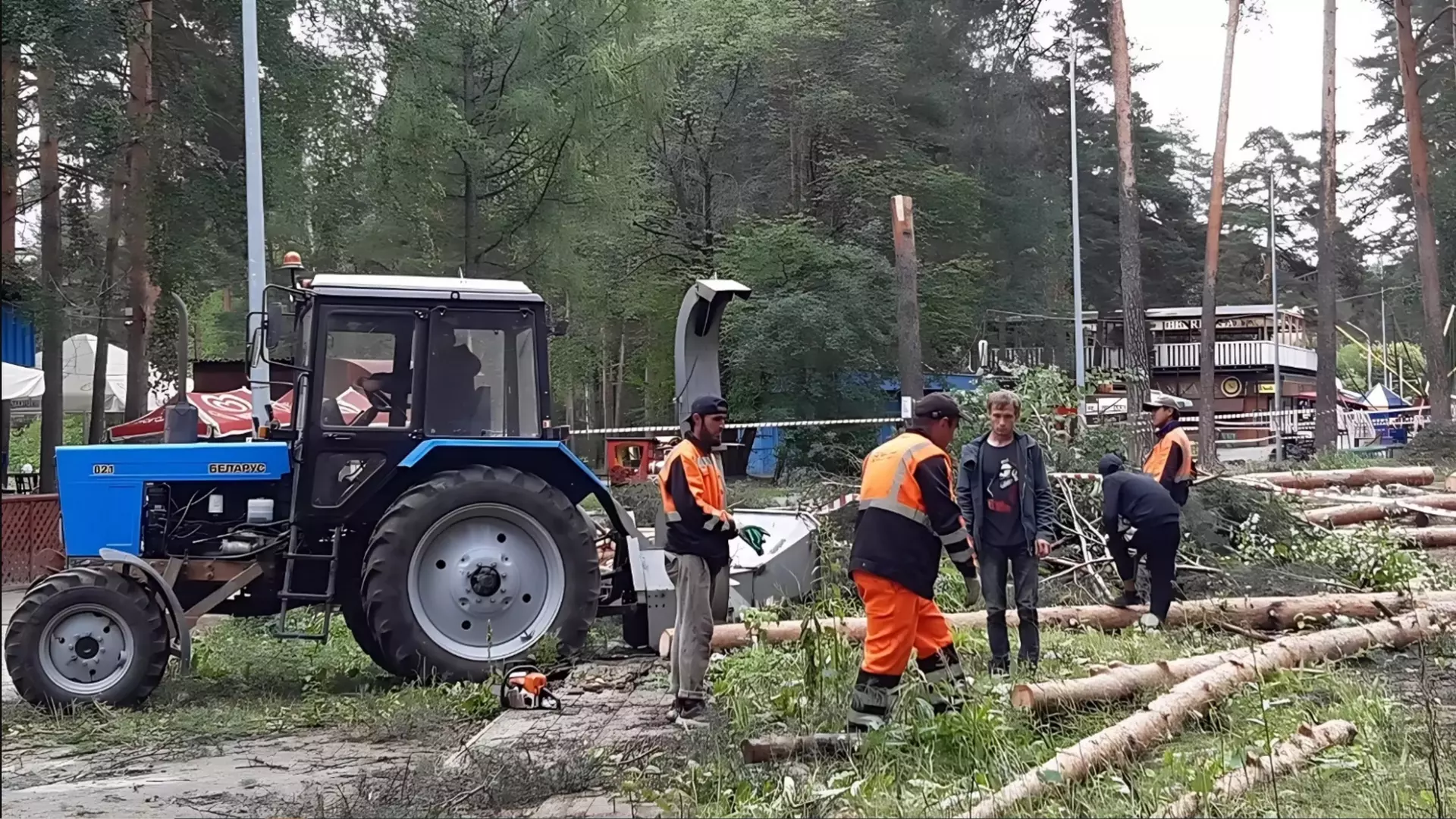 Администрация Перми будет настаивать на исключении части Черняевского леса из ООПТ