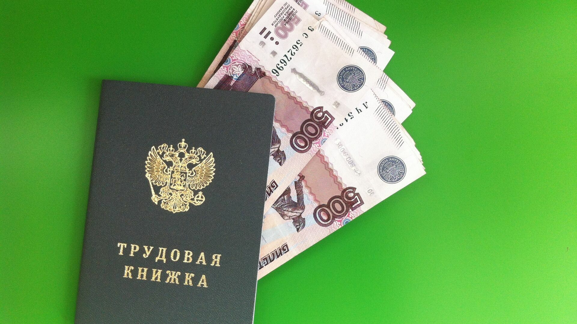 Пермяк отсудил у сельхозакадемии 142 тыс. рублей за потерю трудовой книжки