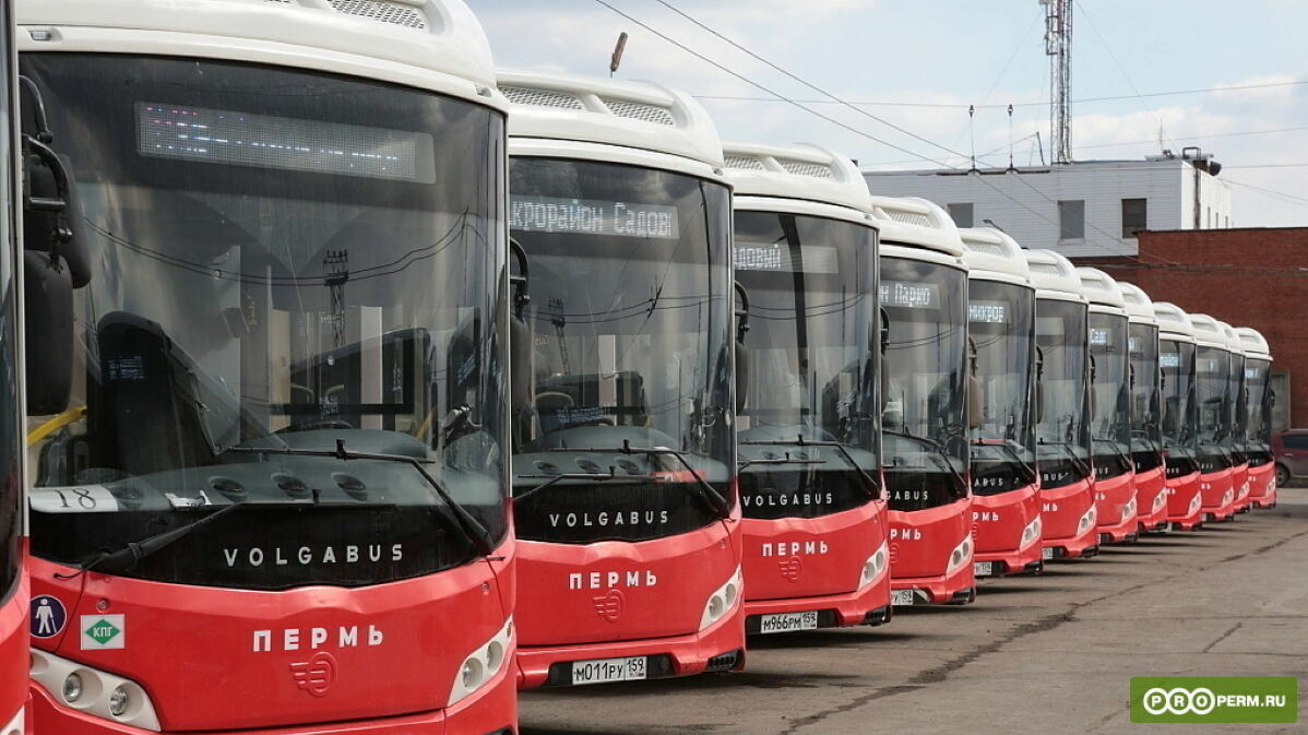 В Перми на три месяца изменится движение двух автобусов из-за реконструкции улицы Карпинского