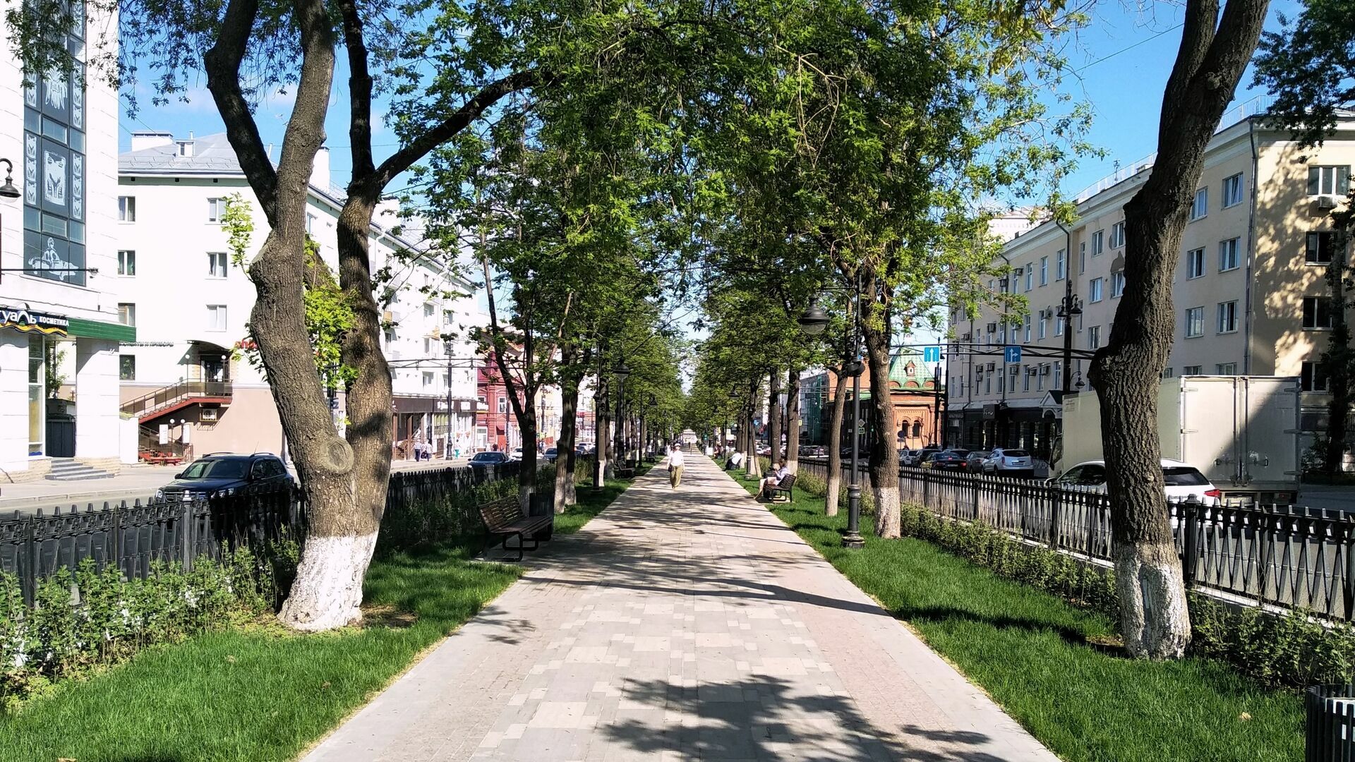 На Комсомольском проспекте заменят более 40 деревьев
