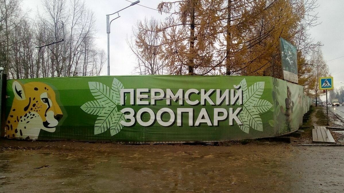 Дочка Минобороны России заявила требования к строителю зоопарка в Перми