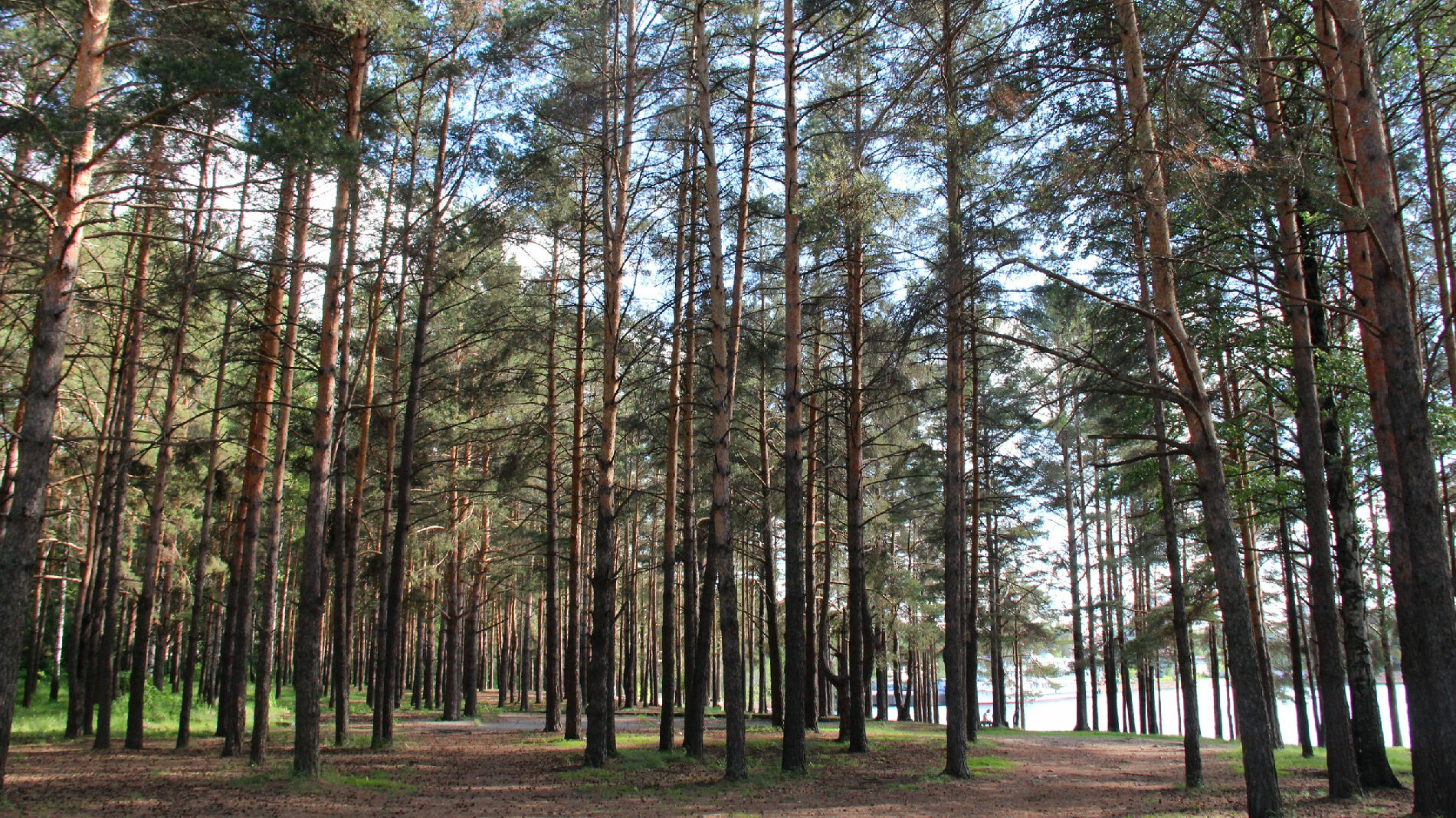В Пермском крае появится новый природный парк
