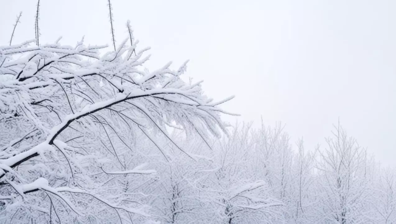 В Пермском крае ожидается аномально холодная погода и изморозь
