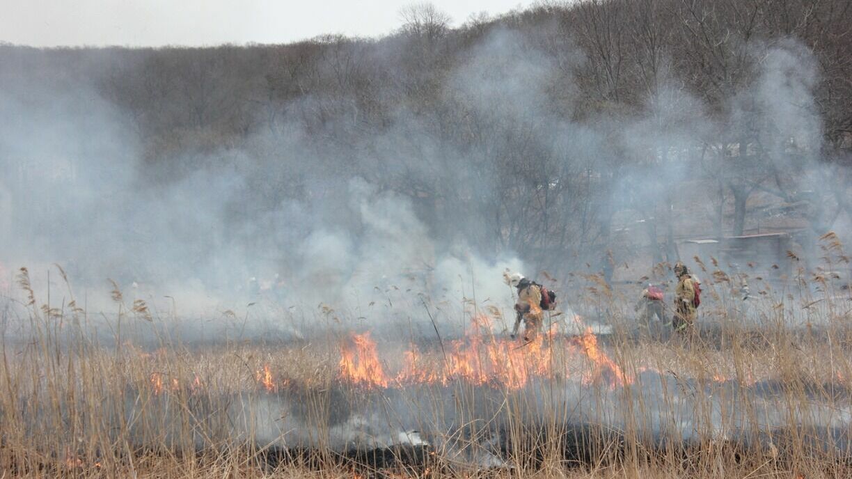 В лесах Пермского края объявлен пожароопасный сезон