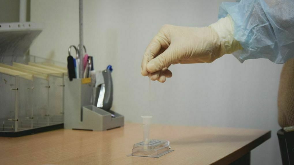В Пермском крае проведено почти 5 миллионов тестов на коронавирус