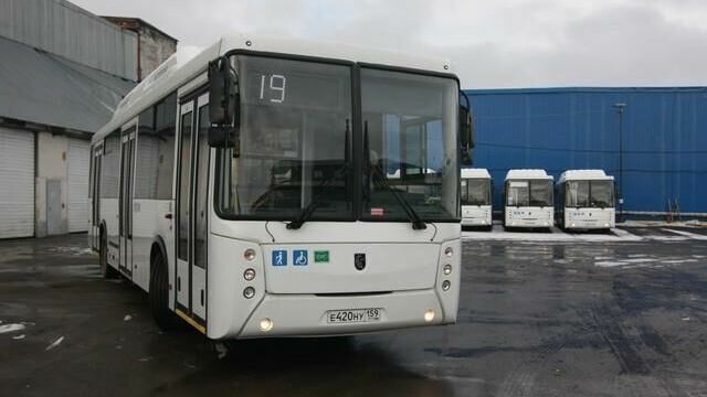 Администрация Перми заключила новые договоры по обслуживанию 20 автобусных маршрутов