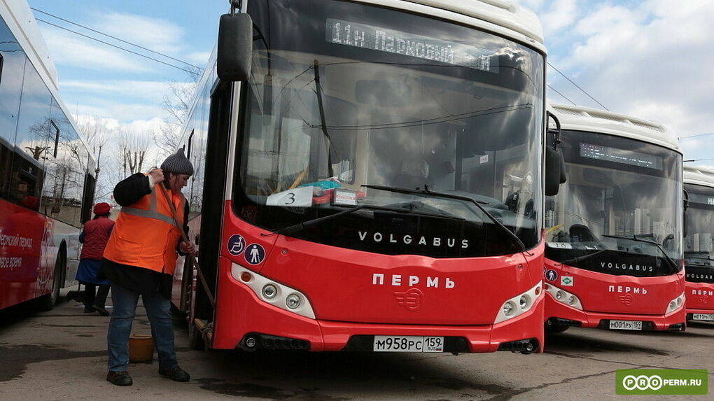 В Пермь поступило 75 из 85 новых автобусов Volgаbus