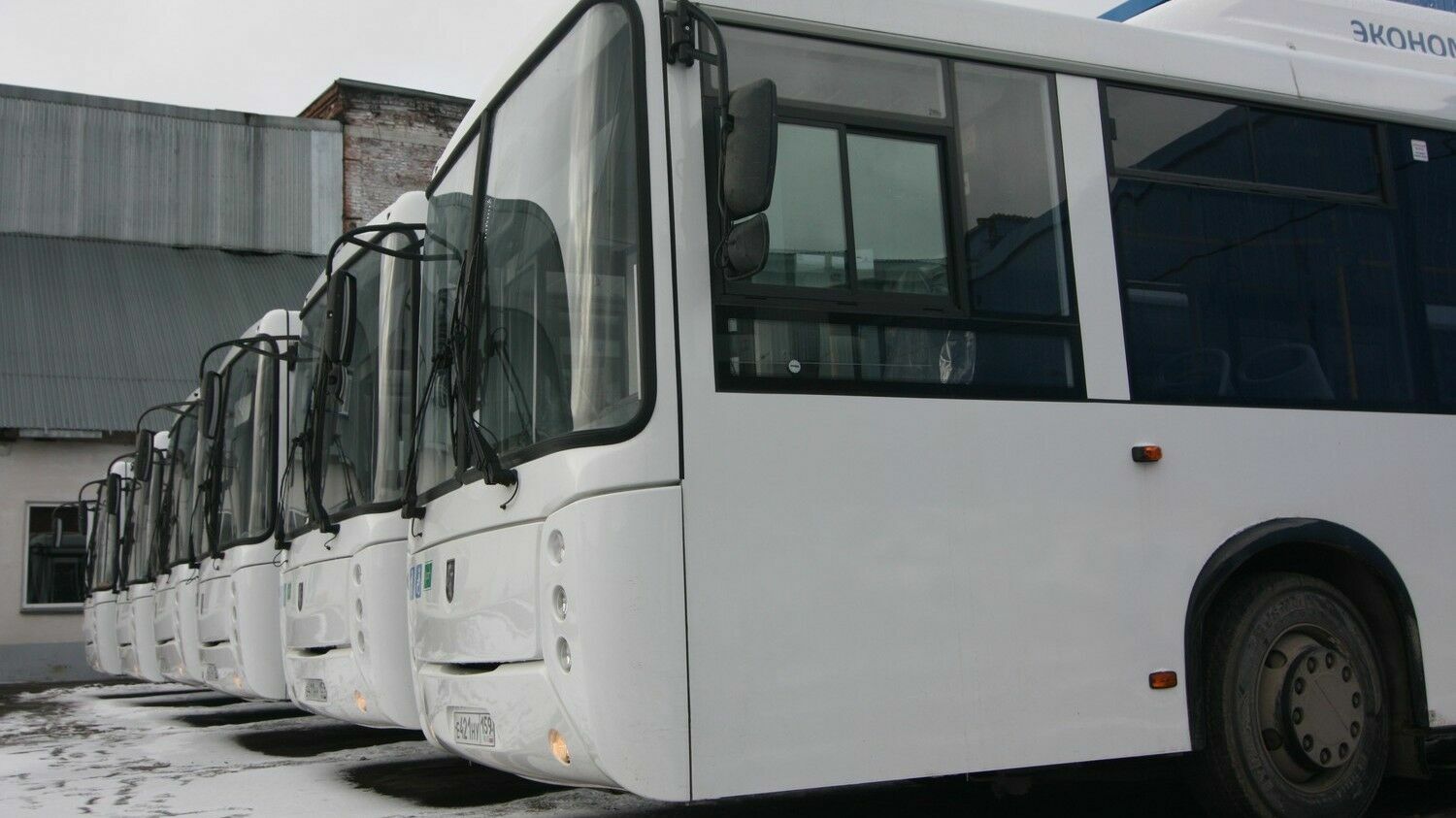 Мэрия Перми объявила аукцион на покупку 85 автобусов
