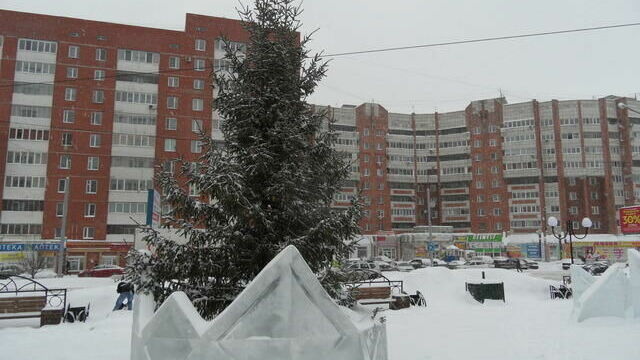 Тысячи новогодних елок из Перми отправились в Пензу, Тулу и Саранск